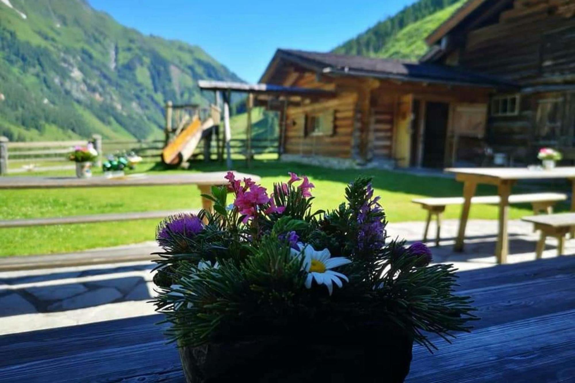 Jana 4 By Smr Rauris Apartments - Inc Spa And Near Gondola Kültér fotó
